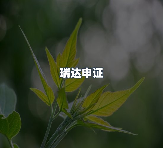 关于瑞达申证